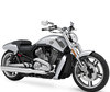 LED og Xenon HID-sæt til Harley-Davidson V-Rod Muscle 1250