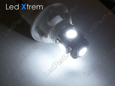 LED-pære BAX9S H6W Xtrem hvid xenon effect