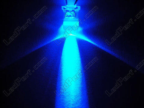 LED med kabel 12V blå
