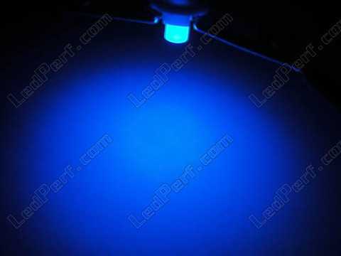 LED på støtte blå T5 w1.2w
