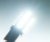 Ultimate Ultra Powerful Pære P21W LED (BA15S) belysning