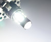 PH16W LED-pære Ren Hvid LED i detaljer PH16W LED