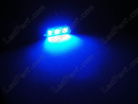 LED-pære 37mm C5W Uden OBD-fejl - OBD anti-fejl Blå