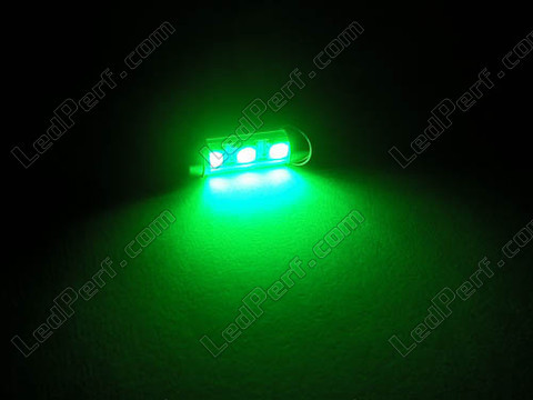 LED-pære 37mm C5W Uden OBD-fejl - OBD anti-fejl Grøn