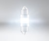 Belysning LED-pinolpære Osram LEDriving SL 31mm C3W - White 6000K - 6438DWP-01B