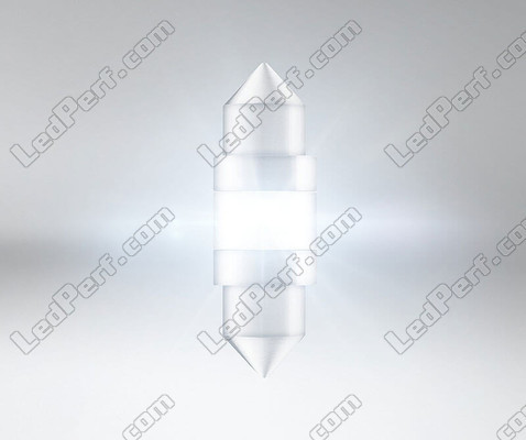Belysning LED-pinolpære Osram LEDriving SL 31mm C3W - White 6000K - 6438DWP-01B
