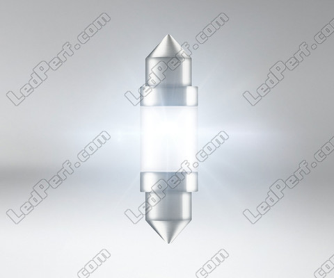 Belysning LED-pinolpære Osram LEDriving SL 36 mm C5W - White 6000K -