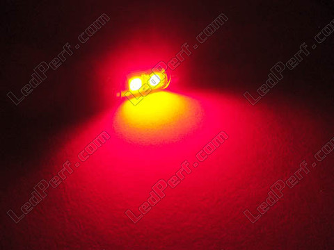 LED pinolpære loftslys, bagagerum, handskerum, plade rød 31mm - C3W