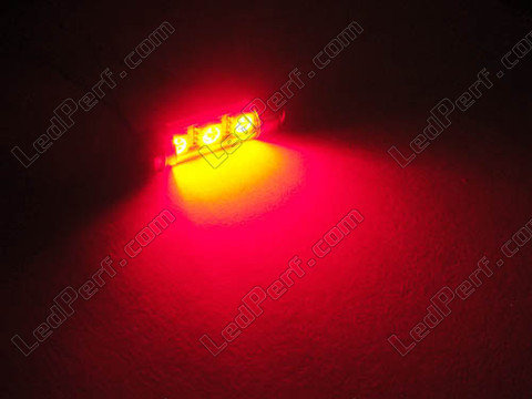 LED pinolpære loftslys, bagagerum, handskerum, plade rød 37mm - C5W