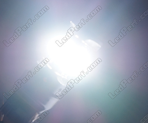 W21/5W LED Ghost serie lys hvid