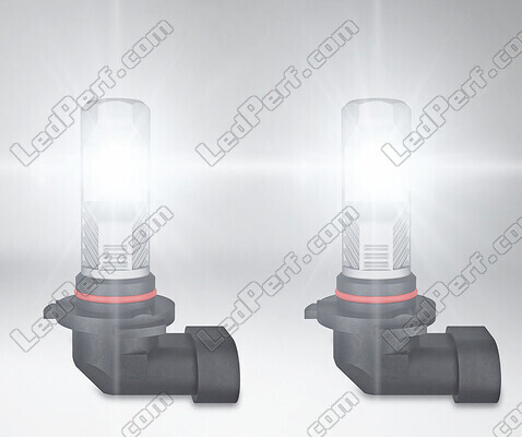 LED-pærer H10 Osram LEDriving Standard til tågelygter i drift