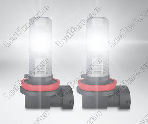 LED-pærer H11 Osram LEDriving Standard til tågelygter i drift