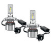Nærbillede af LED-pærer H4 Osram LEDriving® XTR 6000K - 64193DWXTR