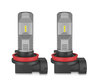 Par af LED-pærer H8 Osram LEDriving Standard til tågelygter - 67219CW
