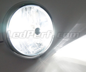HB4 LED-pære motorcykel justerbar - Ren Hvid belysning
