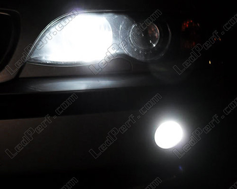 Pakke med LED pærer tågelygter Xenon til BMW 3-Serie (E46)