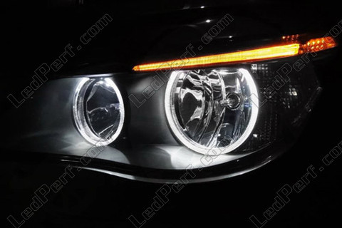 LED Angel Eyes BMW Serie 5 E60 E61 LCI Uden xenon original