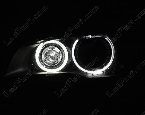 LED xenon hvide til angel eyes BMW X5 (E70) 6000K