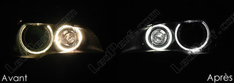 LED xenon hvide til angel eyes BMW X5 (E70) 6000K