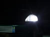 LED parkeringslys xenon hvid Honda Civic 6G