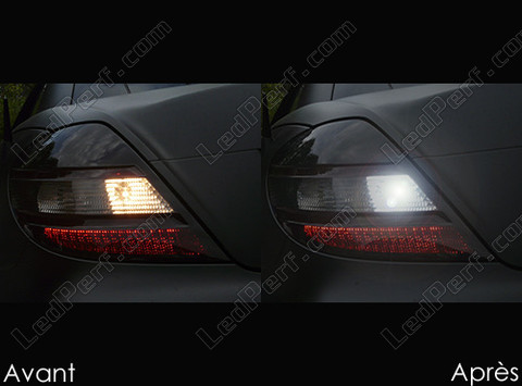 LED Baklys Mercedes SLK R171 Tuning