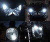 LED parkeringslys xenon hvid BMW Motorrad R 1250 R Tuning