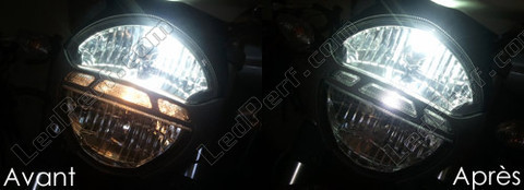 LED parkeringslys xenon hvid Ducati Monster 696 796 1100S Evo