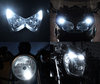 LED parkeringslys xenon hvid Harley-Davidson Blackline 1584 - 1690 Tuning