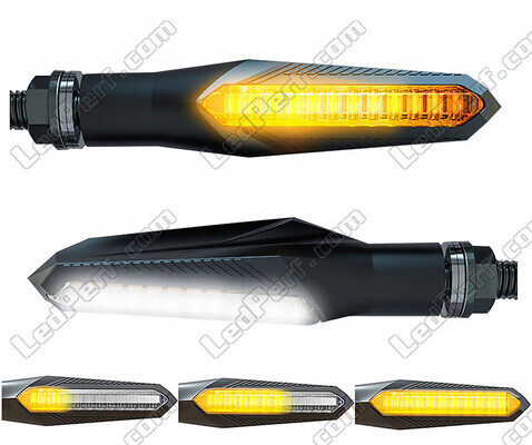 Dynamiske LED-blinklys 2 en 1 avec Kørelys intégrés pour Indian Motorcycle Chief Dark Horse 1811 (2015 - 2020)