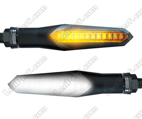 Sekventielle LED-blinklys 2 en 1 avec Kørelys pour Indian Motorcycle Chief Dark Horse 1811 (2015 - 2020)
