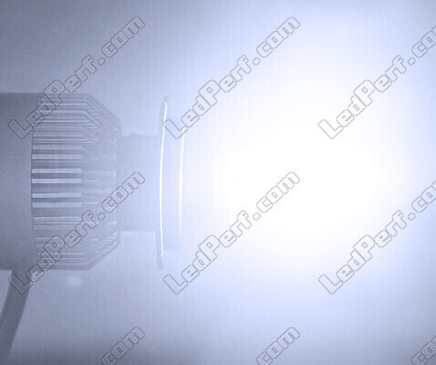 COB LED sæt All in One KTM XC-W 250 (2020 - 2023)