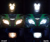 LED LED nærlys og fjernlys Triumph Bonneville Bobber