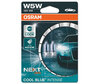 Par med Osram W5W pærer Cool blue Intense Next Gen LED Effect 4000K