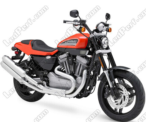 Motorcykel Harley-Davidson XR 1200 (2007 - 2010)