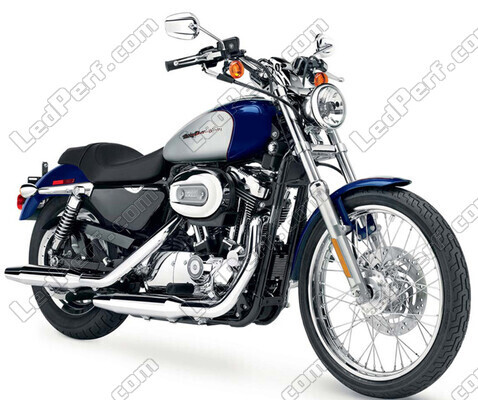 Motorcykel Harley-Davidson Custom 1200 (2000 - 2010) (2000 - 2010)