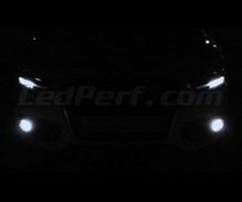 Tågelygtepakke Xenon effect for Audi Q3