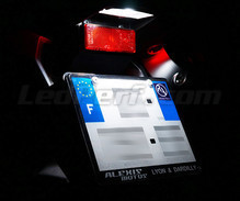 LED-pakke til nummerpladebelysning (xenon hvid) til Honda CBF 1000 (2006 - 2010)