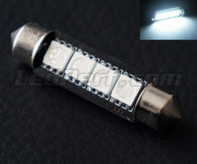 Hvide LED-pinolpære 42mm - C10W