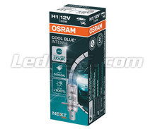 H1-pære Osram Cool Blue Intense NEXT GEN - 64150CBN