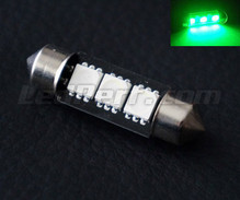 Grønne LED-pinolpære 37mm - C5W