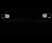 Pakke angel eyes H8 med LED (6000K ren hvid) til BMW X1 (E84) - Standard