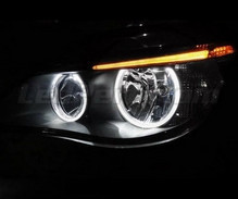 Pakke angel eyes LED BMW 5-Serie E60 E61 Ph 2 (LCI) - Uden xenon original