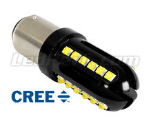 P21/5W Ultimate Ultra Powerful LED-pære - 24 LEDs CREE - OBD anti-fejl - BAY15D