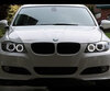 LED Angel Eyespakke til BMW 3-Serie (E90 - E91) Fase 2 (LCI) - Med original xenon - Standard