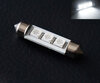 LED pinolpære 42mm - Hvid - Uden-fejl på instrumentbrættet - C10W