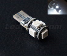 LED T10 Xtrem OBD V1 - Hvid - Uden-fejl på instrumentbrættet W5W