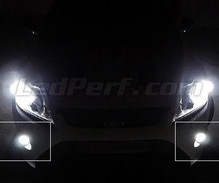 LED-tåge lygtepakke (xenon hvid) til Ford Focus MK2