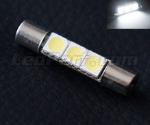 Hvide LED-pinolpære 31mm SLIM