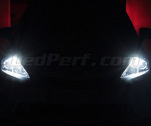 LED-parkeringslys-pakke (xenon hvid) til Toyota Prius