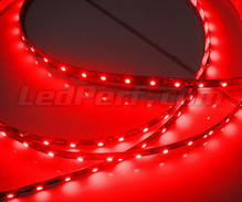 Fleksibelt bånd standard på 1 meter (60 LEDs SMD) rød